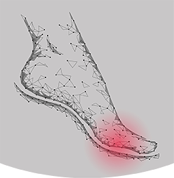 Forefoot Energy Absorption